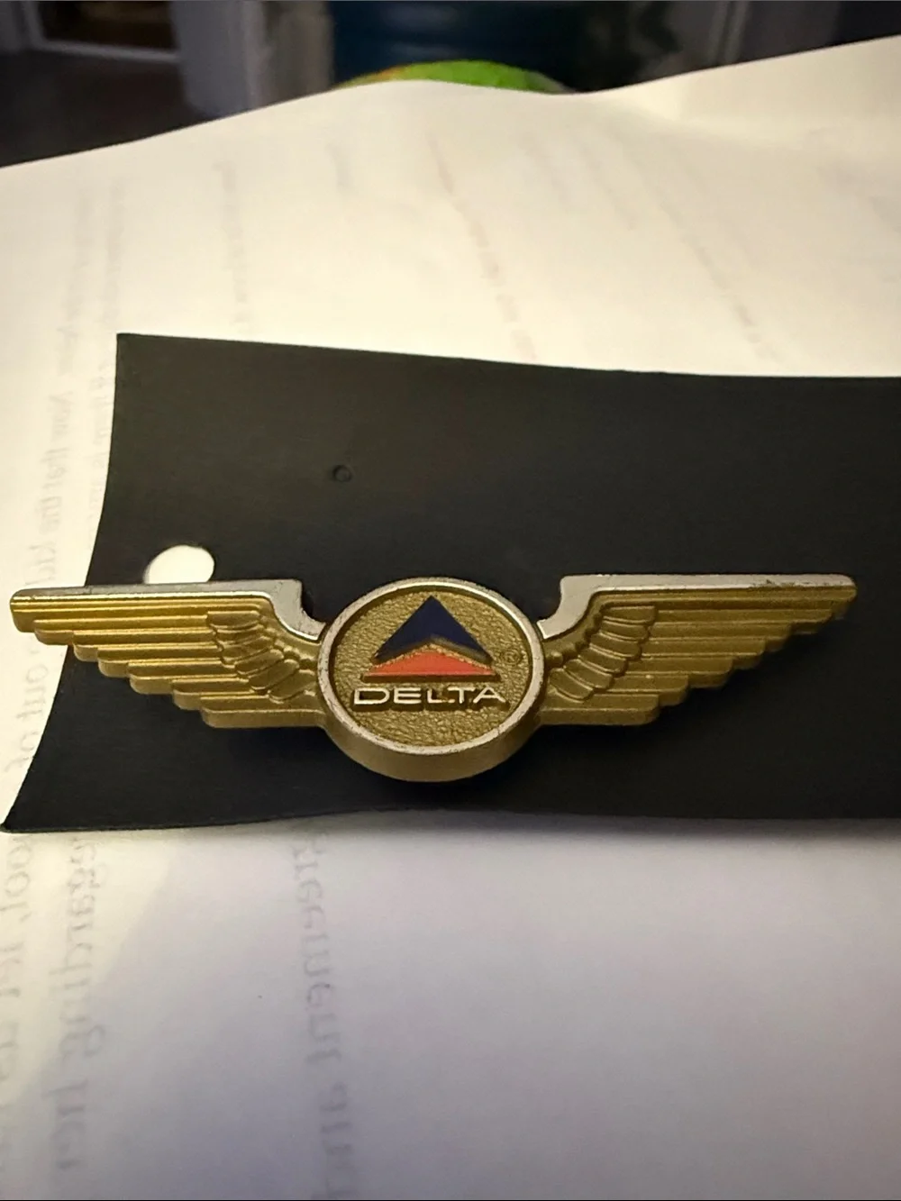 Delta Childs Gold Wing Badge with Blue and Red Triangle Emblem (1960)